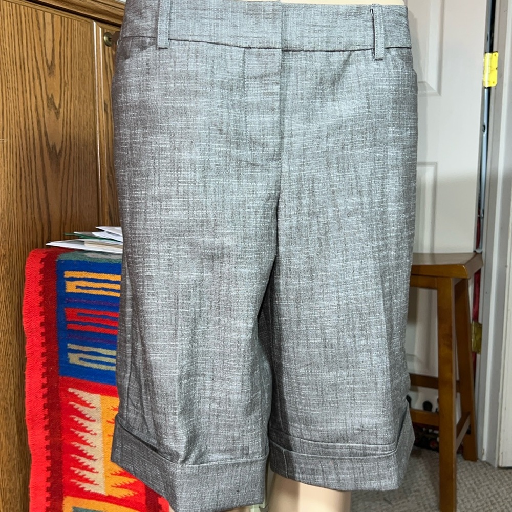 iZ BYER short size 13 brown with Reflections nwt